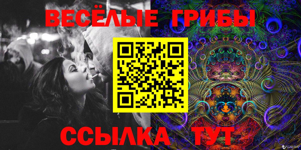 купить закладку  Галлюциногенные грибы Psilocybe  Вход с VPN  Зеленогорск 